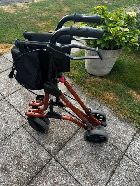 Gehhilfen: Rollator/Gehhilfe von DIETZ, Modell Taima M – Gebraucht aus Uetikon am See von ber_62cf 4
