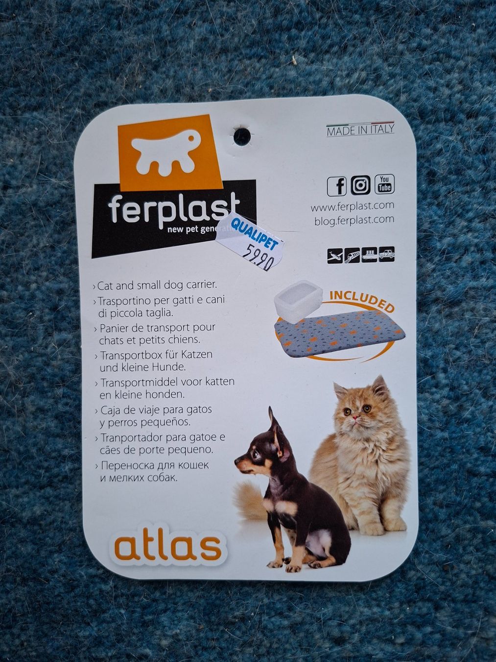 Ferplast Cucce & Letti: Transportkiste Katze – Nuovo e nell'imballaggio originale da Bad Zurzach venduto da kay_58q6 6