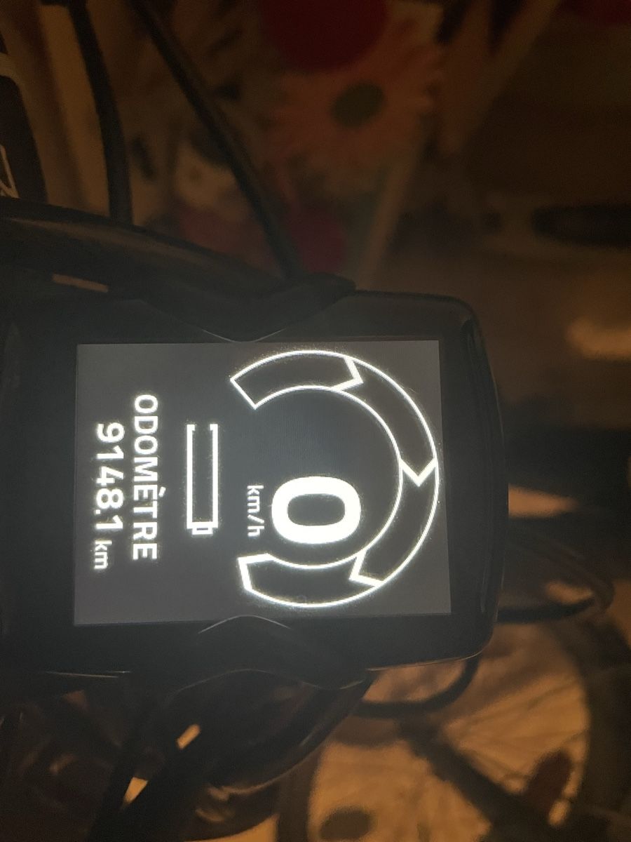 Bionx Pièces détachées: Bionx E-bike 48V – Défectueux à Cugy VD par Rebjul 2