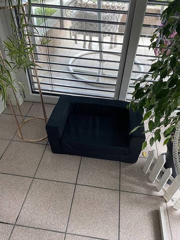 Divani: Divanetto estraibile cane – Usato da Breganzona venduto da eva_b2fp
