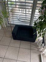 Divanetto estraibile cane