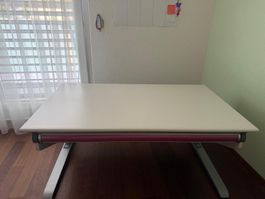 Verstellbarer Schreibtisch mit erg. Bürostuhl + LED-Leuchte