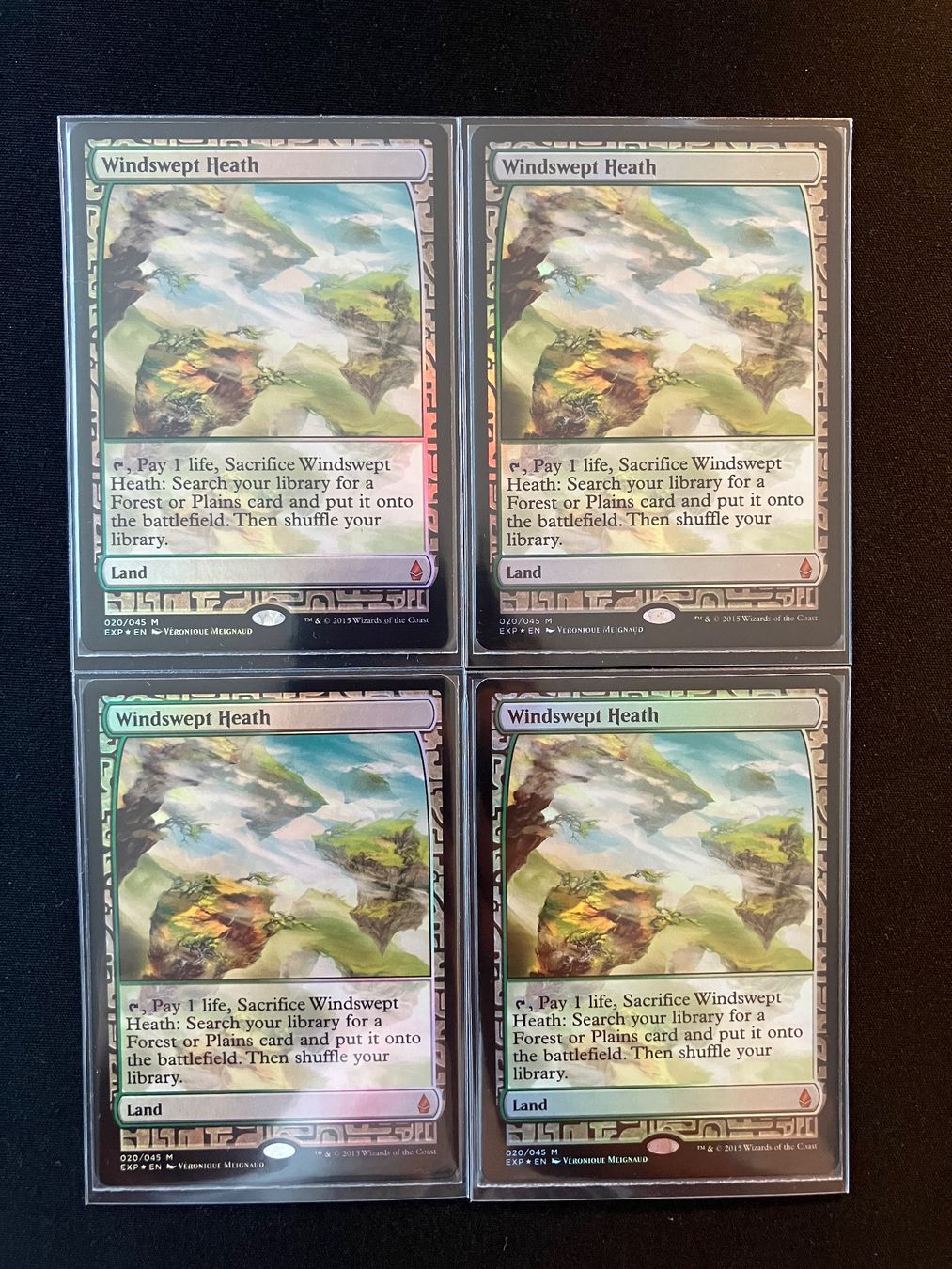 Karten: MTG Windswept Heath NM Foil – Gebraucht aus luzern von rammdave