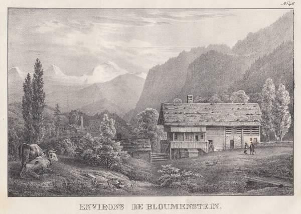 Incisioni: BLUMENSTEIN, LITHOGRAPHIE UM 1840 – Usato da Grüningen venduto da Kartensammler 1