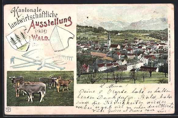 Cartoline postali: Wald, Kantonale landwirtschaftliche Auss – Usato da Berlin venduto da bartko-reher
