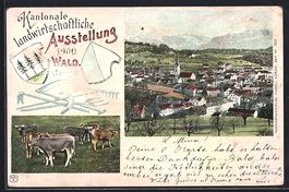 Wald, Kantonale landwirtschaftliche Auss