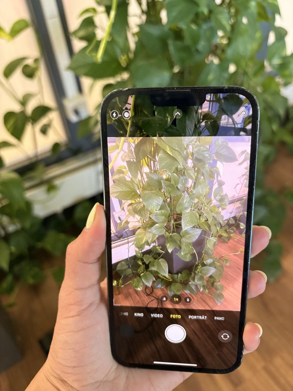 Apple Handys / Smartphones: Apple iPhone 13 Pro Max / 256 GB – Gebraucht aus Emmenbrücke von nel_x6ck 4