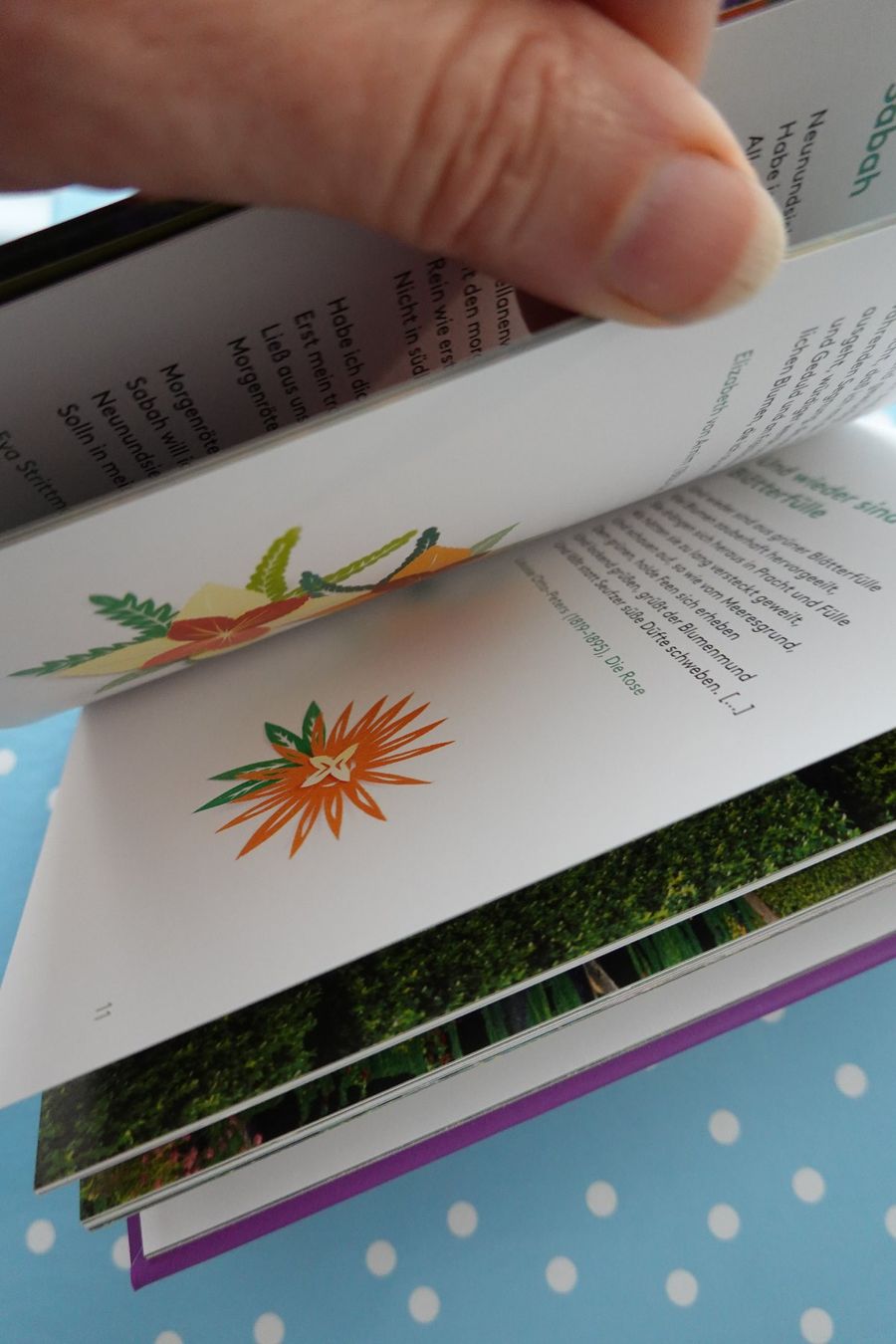 Bücher: Garten Ich weiss einen Wundergarten Dichterinnen + Gärten – Neu und originalverpackt aus Jona von JOberg_25 2