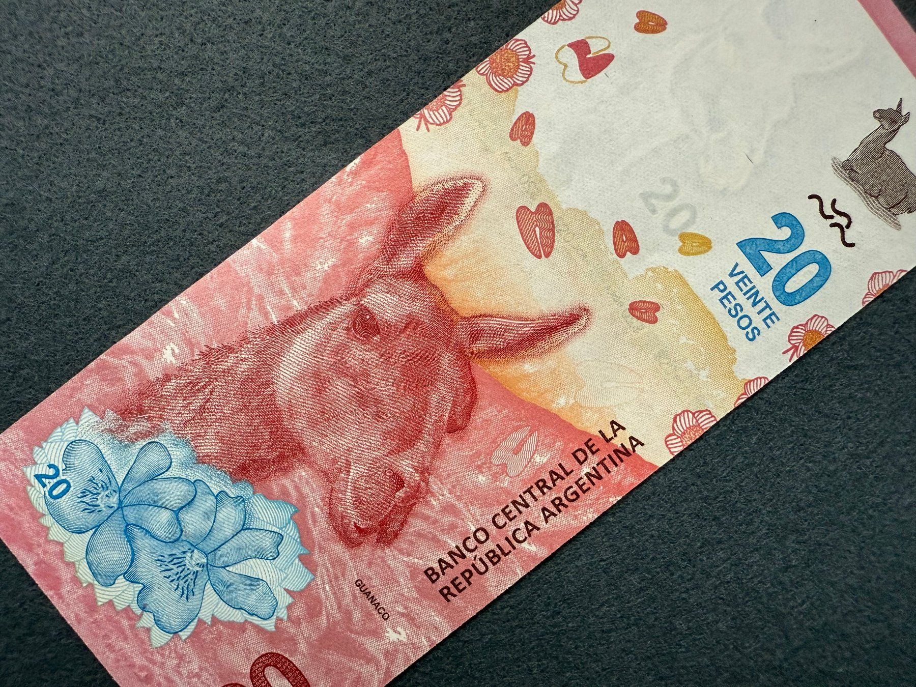 Banconote: Argentinien - Argentina - 20 Pesos UNC - Guanaco – Nuovo e nell'imballaggio originale da Pfäffikon SZ venduto da Sieben77