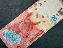 Argentinien - Argentina - 20 Pesos UNC - Guanaco