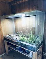 1 von 2 Terrarium Spezialanfertigung