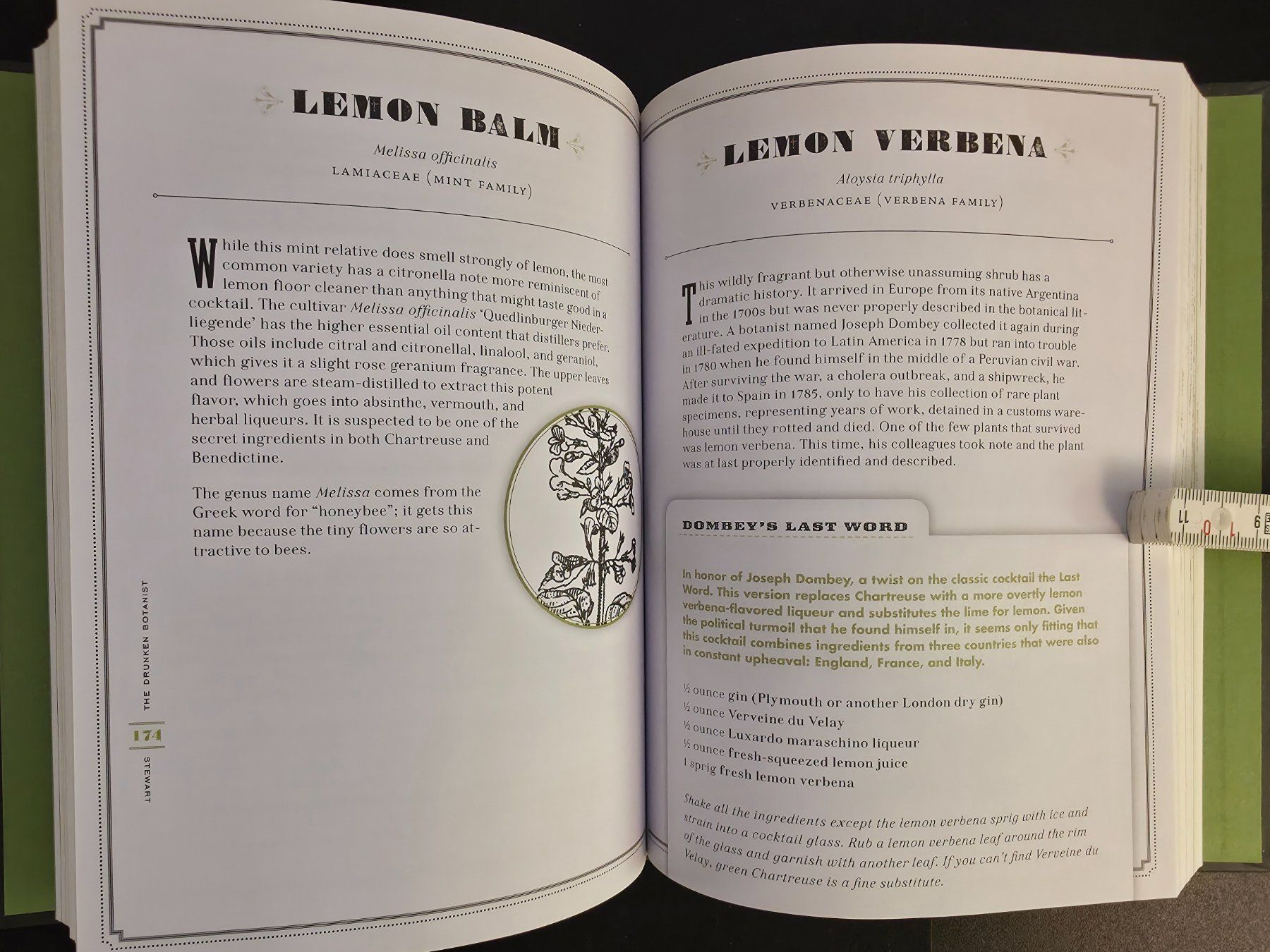 Libri: The Drunken Botanist The Plants That Create the World's Grea – Nuovo (secondo la descrizione) da Montreux venduto da Edelweissgirl_64 7