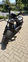 6.0 Pro E-Chopper Mieten