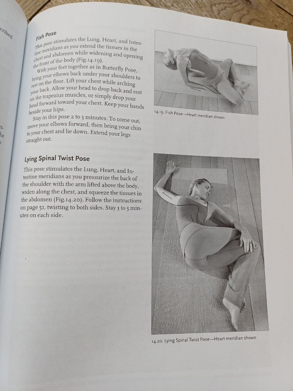 Libri: Insight Yoga Buch Sarah Powers Zustand gut – Nuovo (secondo la descrizione) da Bern venduto da rikivip 4