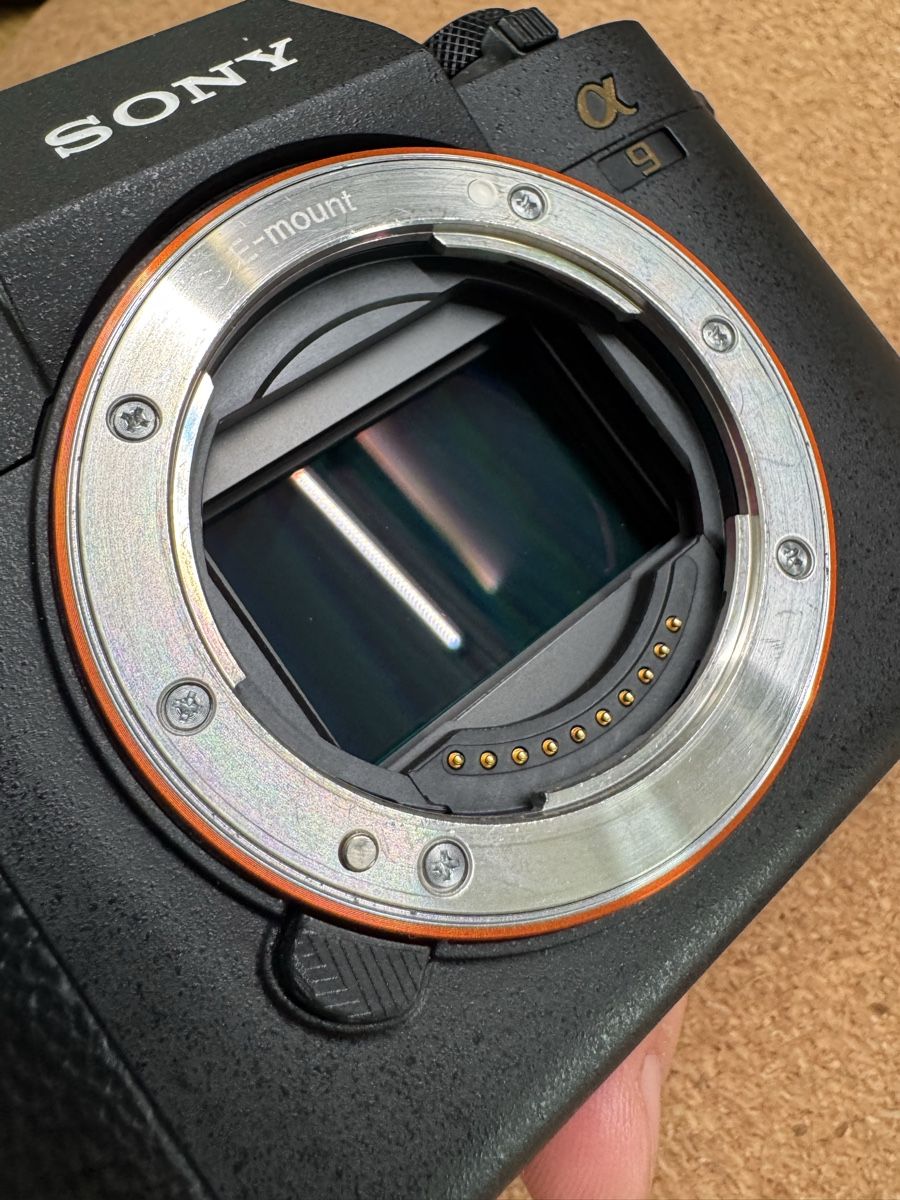 Sony Fotocamera: Sony a9 II Mark 2 – Usato da Zürich venduto da shu_knl5 7