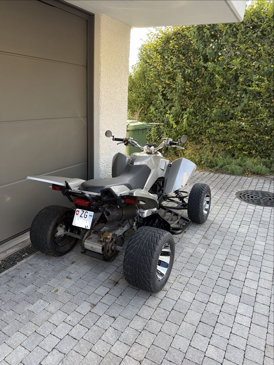 Access Motor ATV / Quad: Ab 1 FR.- QUAD ACCESS SP 450 – Difettoso da Affoltern am Albis venduto da Putschi 2