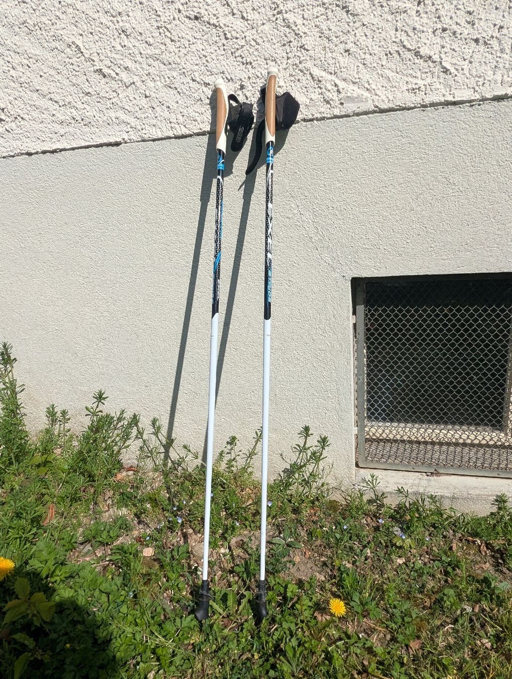 Bâtons de marche: Nordic Walking Stöcke 120cm – D'occasion à Hofstetten ZH par Raiona