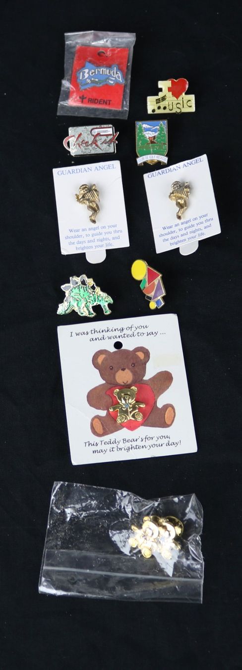 Placchette & Badge: Sammlung an Pins – Usato da Volketswil venduto da brockipfannenstil 6