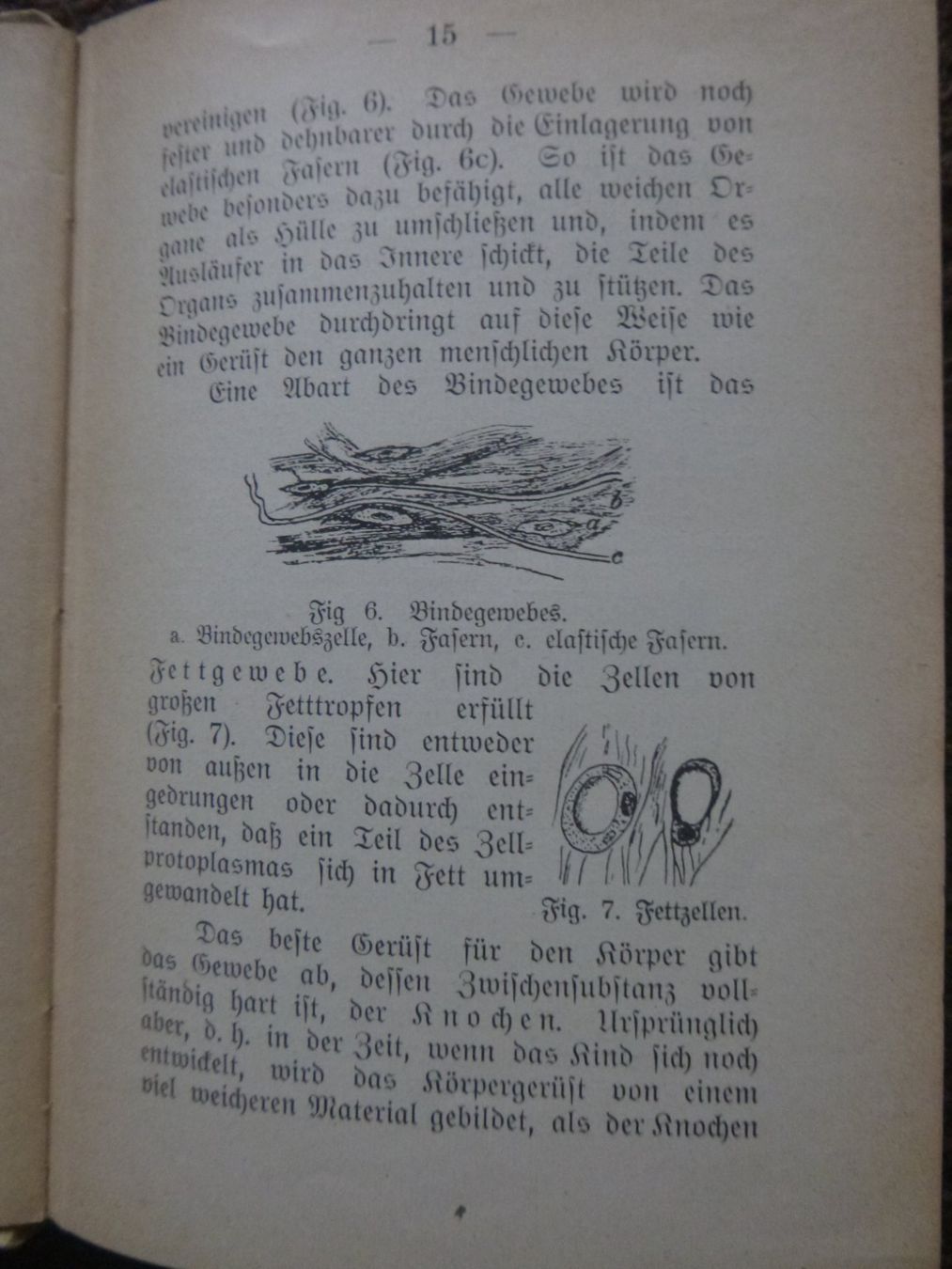 Libri: Der menschliche Körper - Prof. Dr. Horn – Usato da Diessenhofen venduto da farbschatten 6