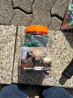 Ein Kübel voll Dinos :)