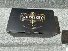 Elegante Whiskygläser im 2er-Set, neuwertig