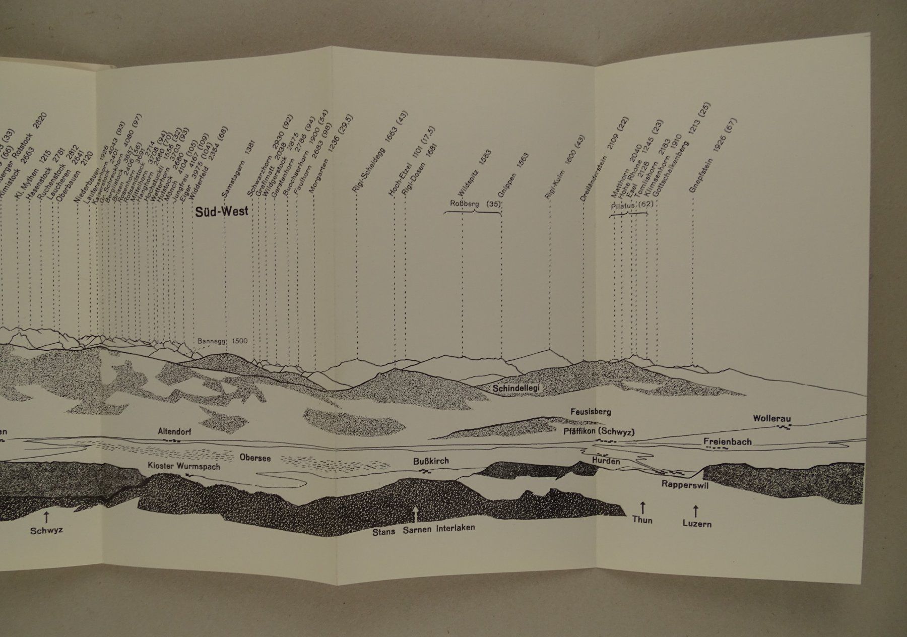 Libri: PANORAMA VOM SANATORIUM WALD – Usato da Grüningen venduto da Kartensammler 3
