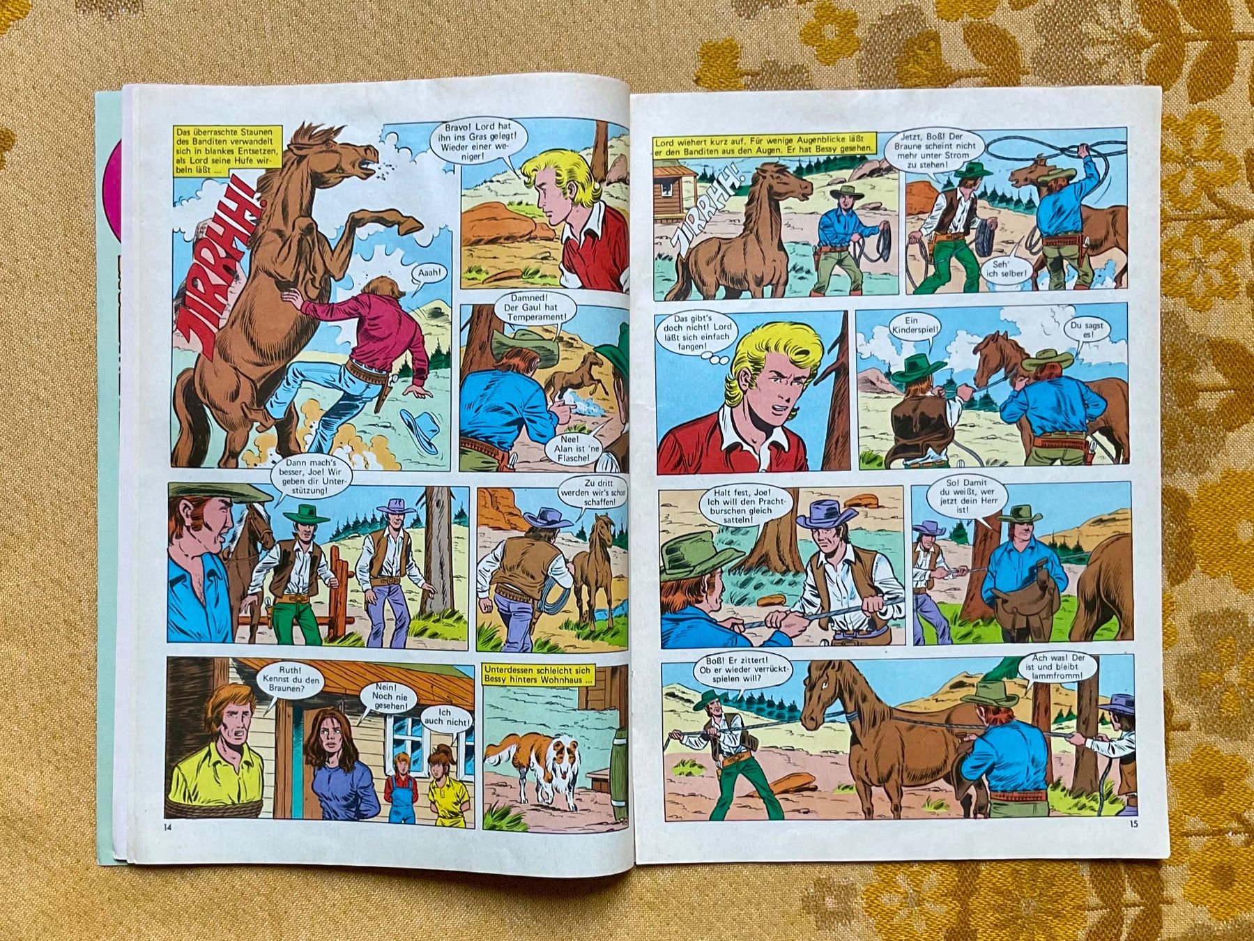 Comics: Bessy Heft Nr 612 von 1978 ? – Gebraucht aus Endingen von nathan05 4