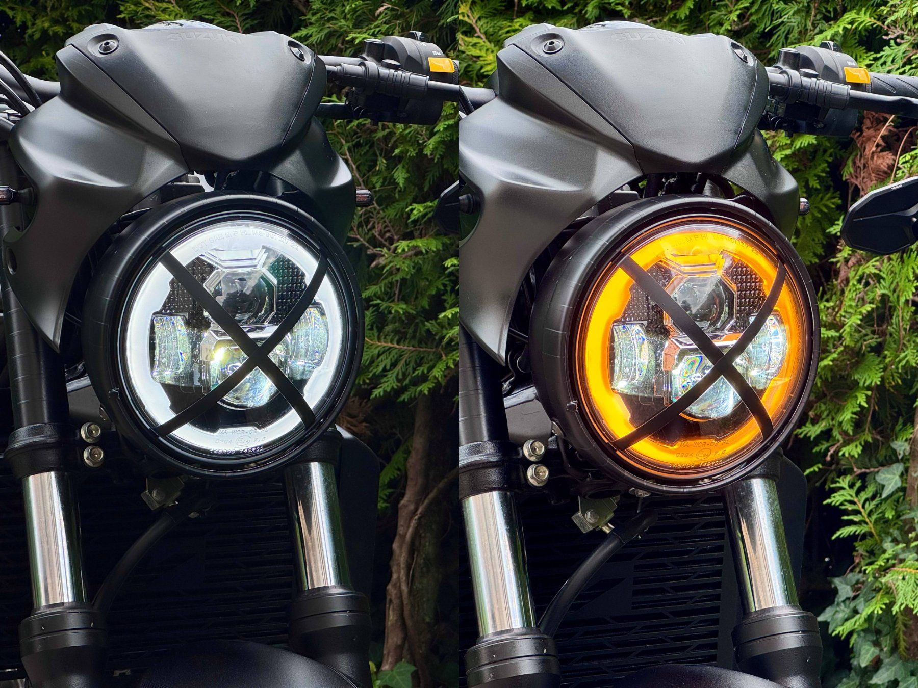 Suzuki Strada: Suzuki SV650 35 kW – Usato da Wädenswil venduto da qui_rm56 5