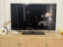 Fernseher