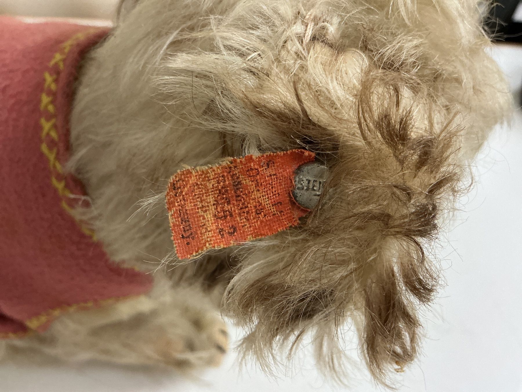 Giocattoli: Steiff Molly Hund – Usato da Bern venduto da vielerart 6
