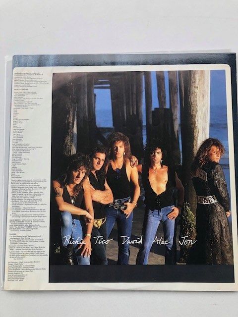 Dischi in vinile: Bon Jovi – Usato da Aarwangen venduto da Jukebox3 6