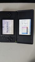 nintendo ds lite