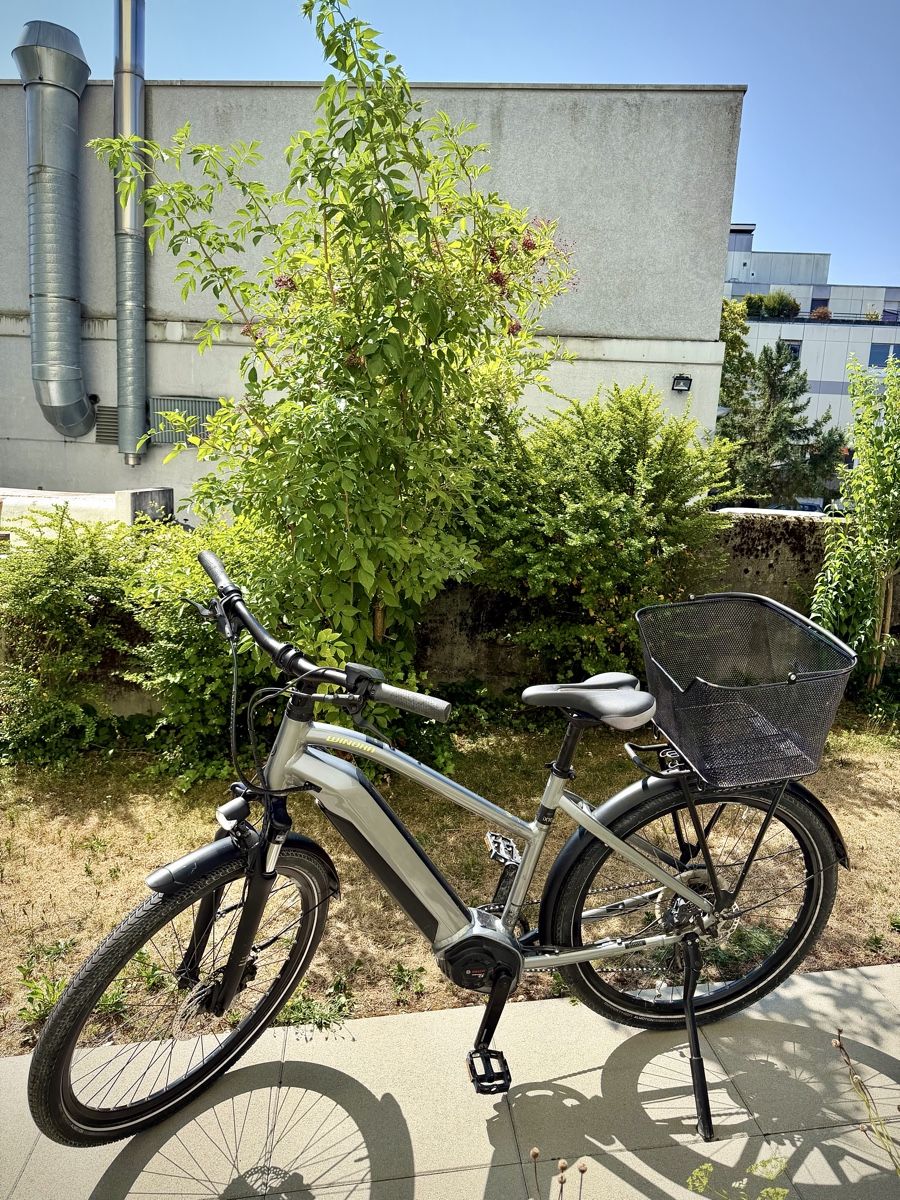 Winora Velos: Winora iX10 E-Bike Bosch Performance Line CX 2 531 km  – Gebraucht aus Bern von ser_7vtn 5