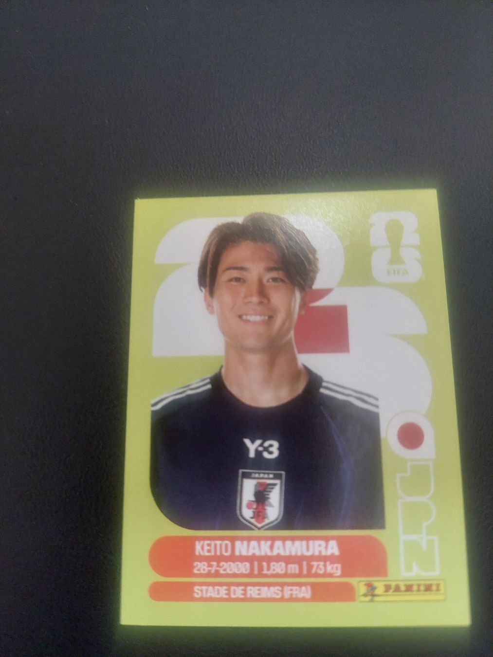Panini Carte collezionabili: PANINI 2026 - JPN 15 – Usato da Biel/Bienne venduto da Deboma