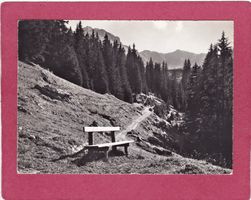 Schwefelberg Bad Spazierweg zur Quelle 1966