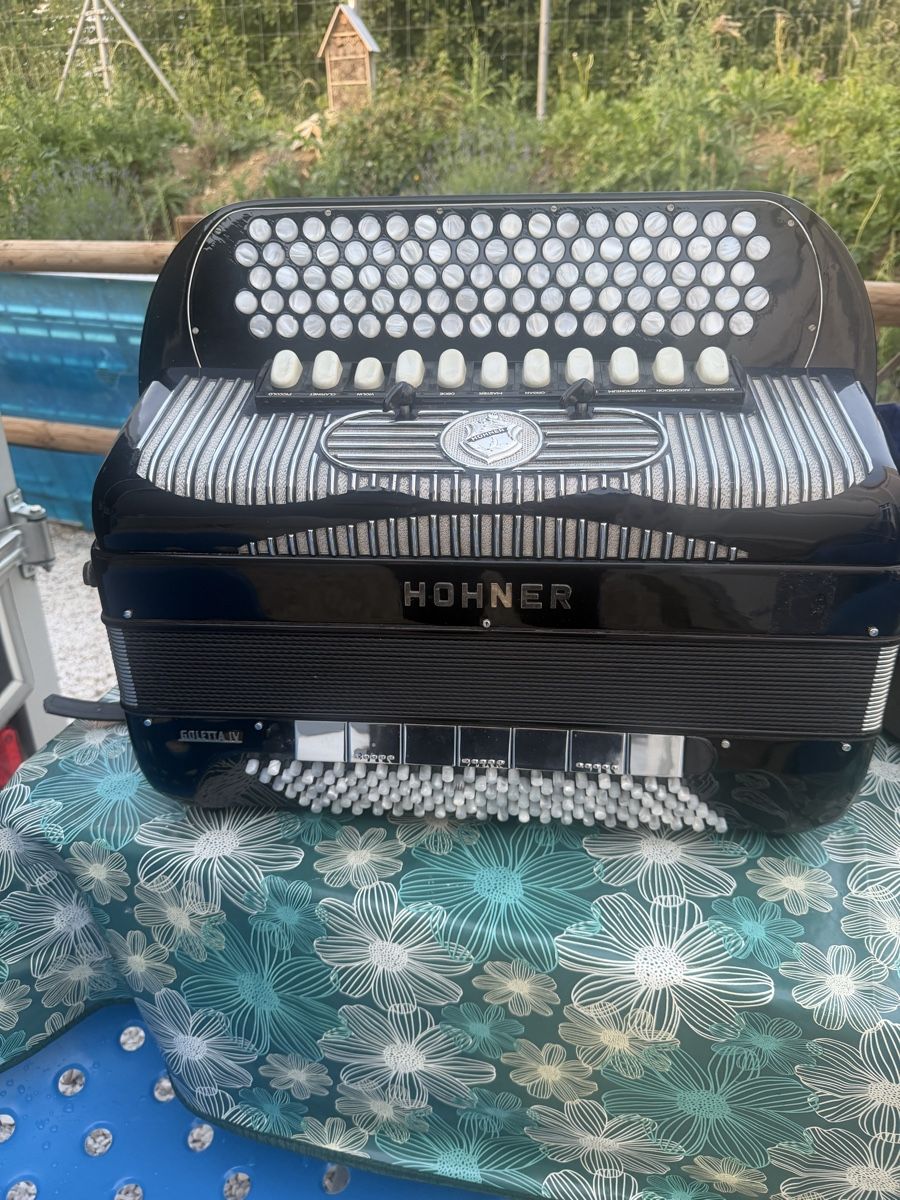 Hohner Strumenti musicali: Hohner goletta lv – Usato da Muhen venduto da MiGeiss64 1
