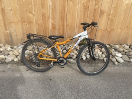 Mountainbike Mustang orange weiss