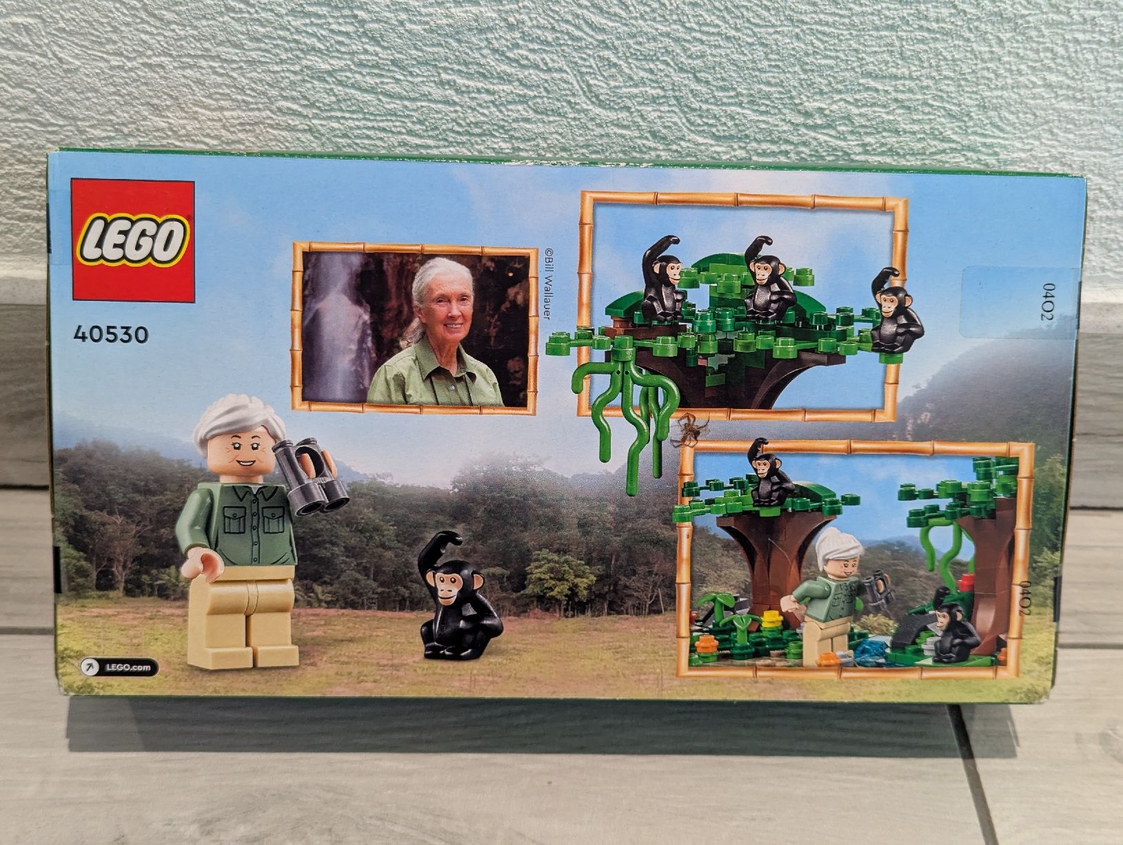 Lego Kit di costruzioni: Lego 40530 Hommage à Jane Goodall – Nuovo e nell'imballaggio originale da Corban venduto da Katzyta 1