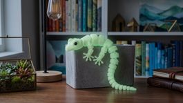 Beweglicher Gecko - Glow in the Dark