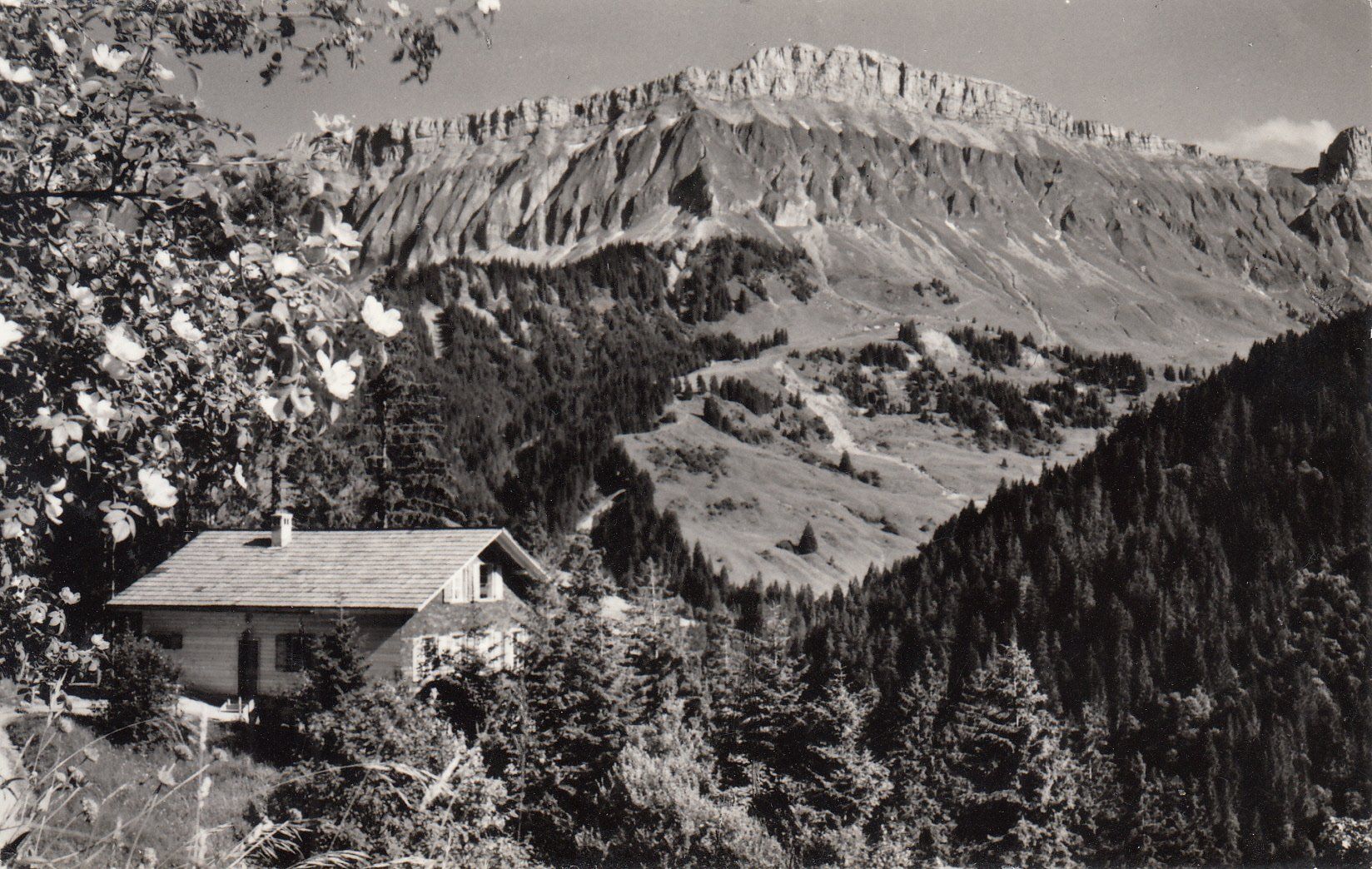 Ansichtskarten: Hilfernthal Schrattenblick ca. 1955 – Gebraucht aus Bürglen TG von StampGraf