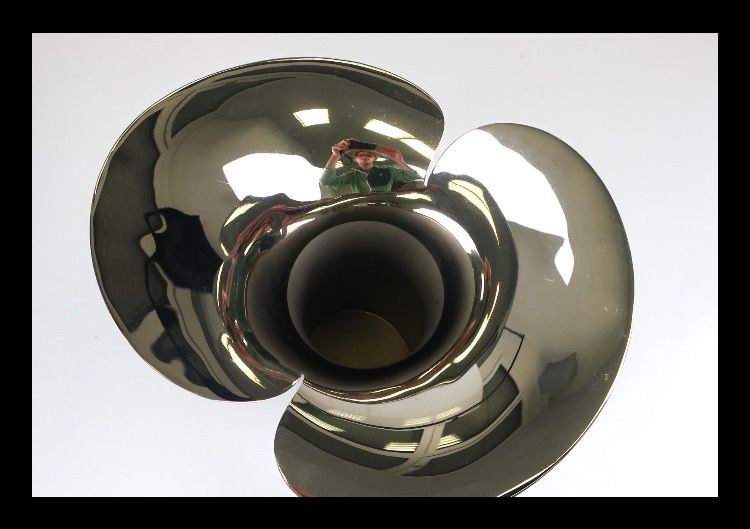 Vase & Récipients: Georg Jensen Bloom Botanica Vase  – D'occasion à sion par orchikorchik 1