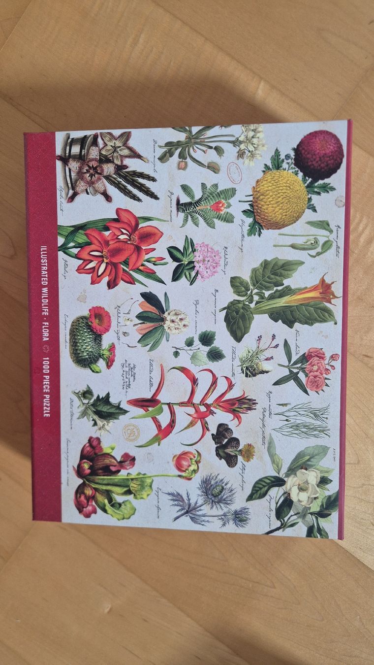 Puzzles: Puzzleset 6 Puzzle  – D'occasion à Winterthur par vss_h665 1