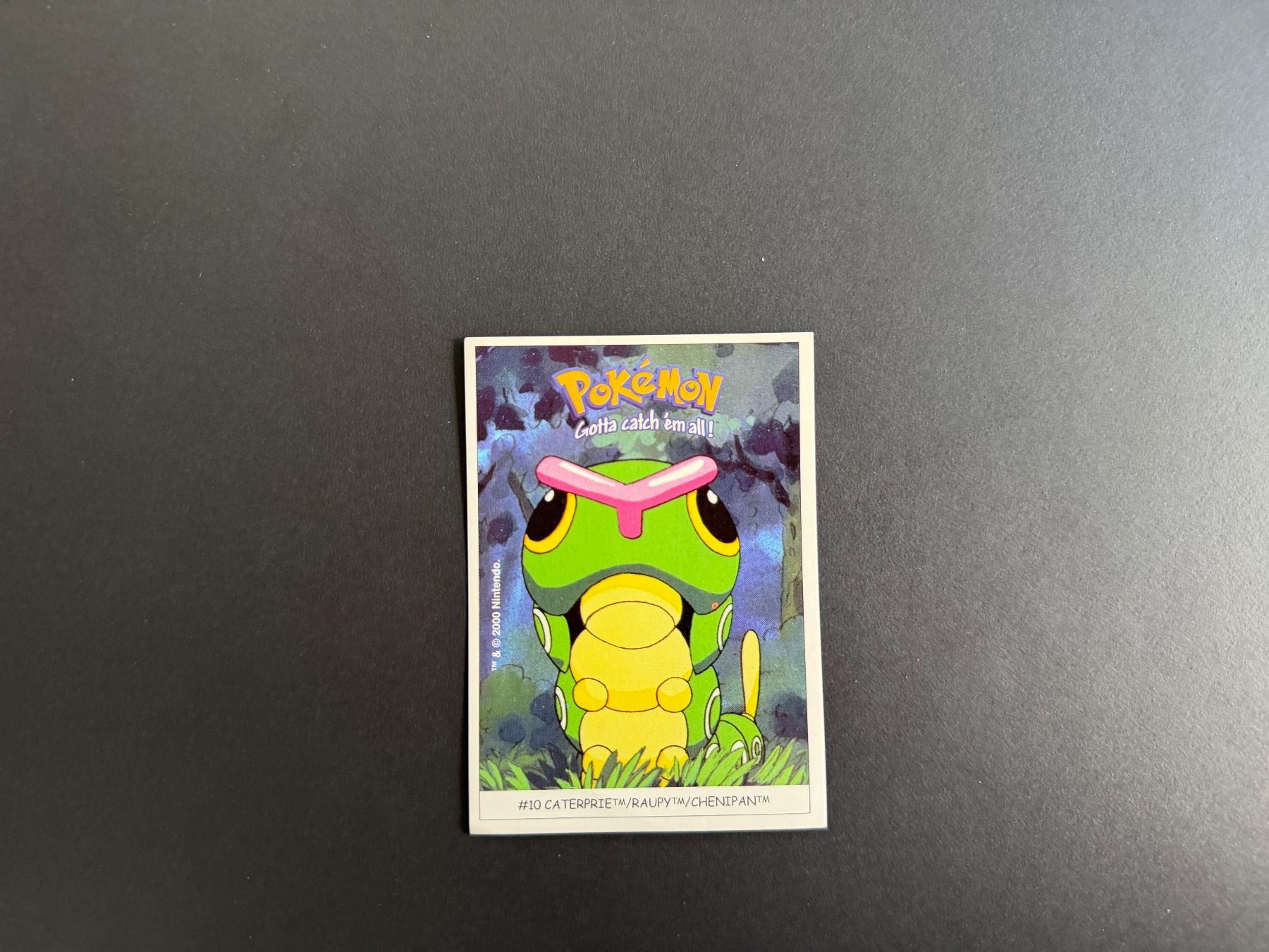 Pokémon Carte collezionabili: Pokémon Dunkin Boomer 2000 - Caterprie – Usato da Zürich venduto da mountainwizard00