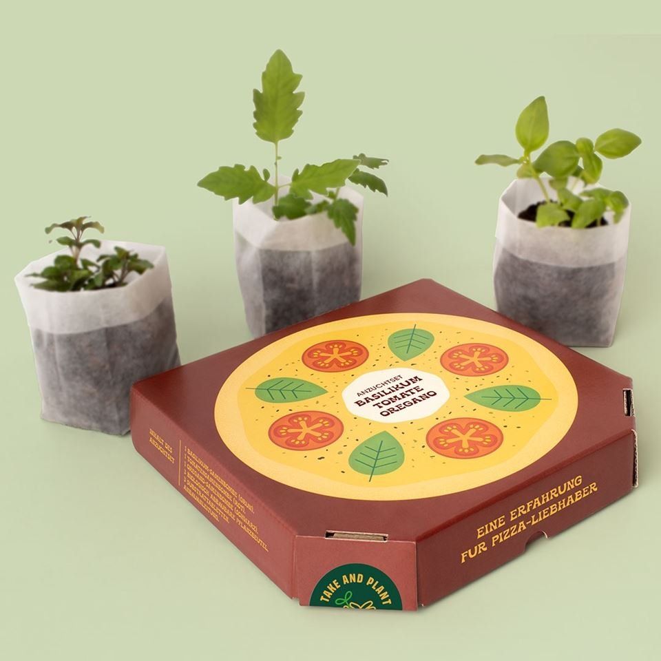 Lebensmittel & Spezialitäten: Anzuchtset - Pizza Lovers – Neu und originalverpackt aus Mauren von Yeelen 2