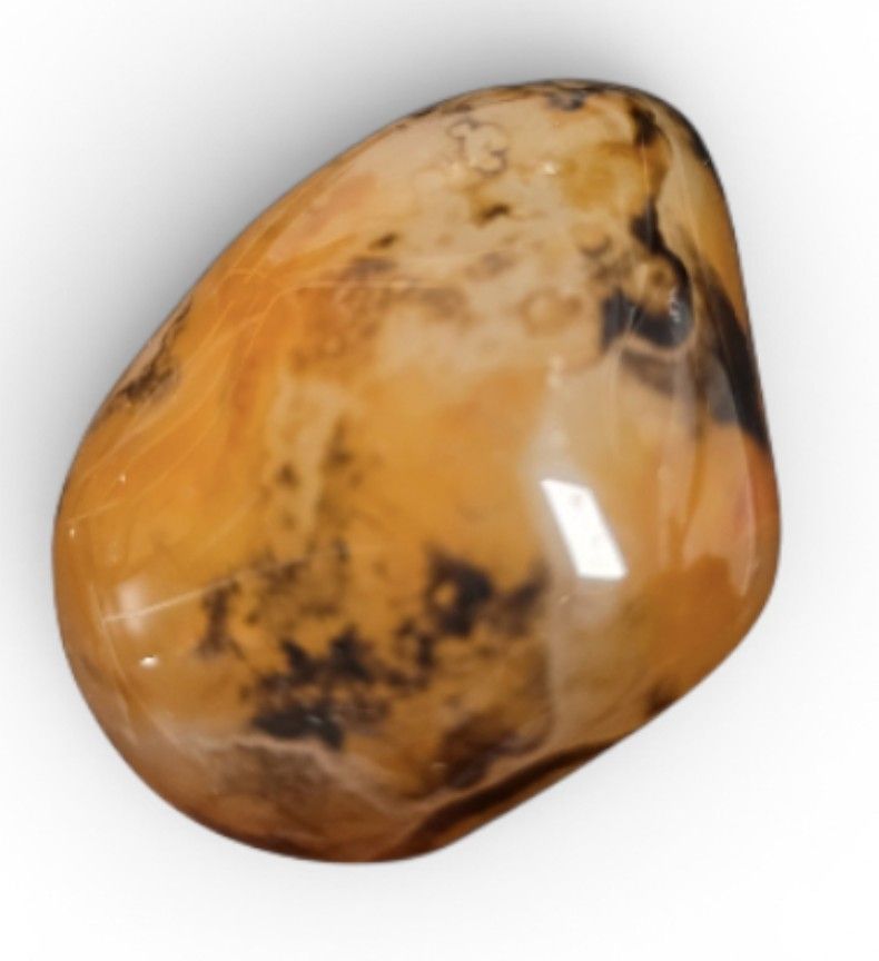 Pietre preziose: Aghates sardonix du madagascar 3 pieces – Nuovo e nell'imballaggio originale da Vernier venduto da 19pigments 2