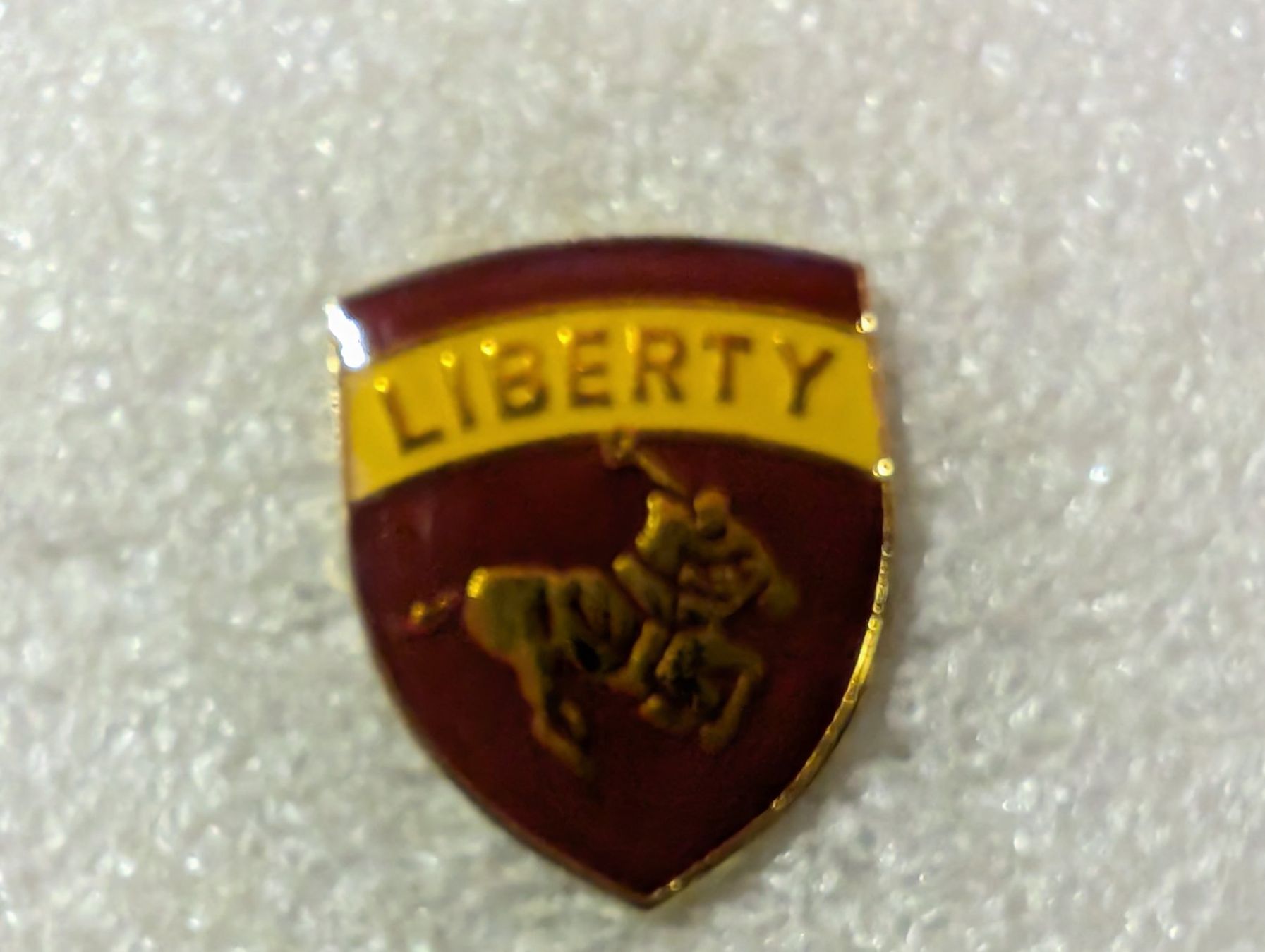 Plaketten & Abzeichen: Ansteckpin 207: Liberty – Gebraucht aus Oppligen von Pin-Fall-Shop