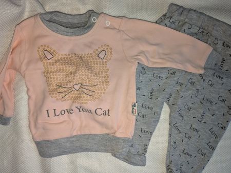 Baby Set rosa/grau Grösse 80 mit Katzenprint
