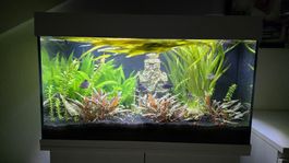 Aquarium Juwel 110 Liter OHNE INHALT
