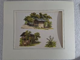 Lot 20, 5 Stiche 