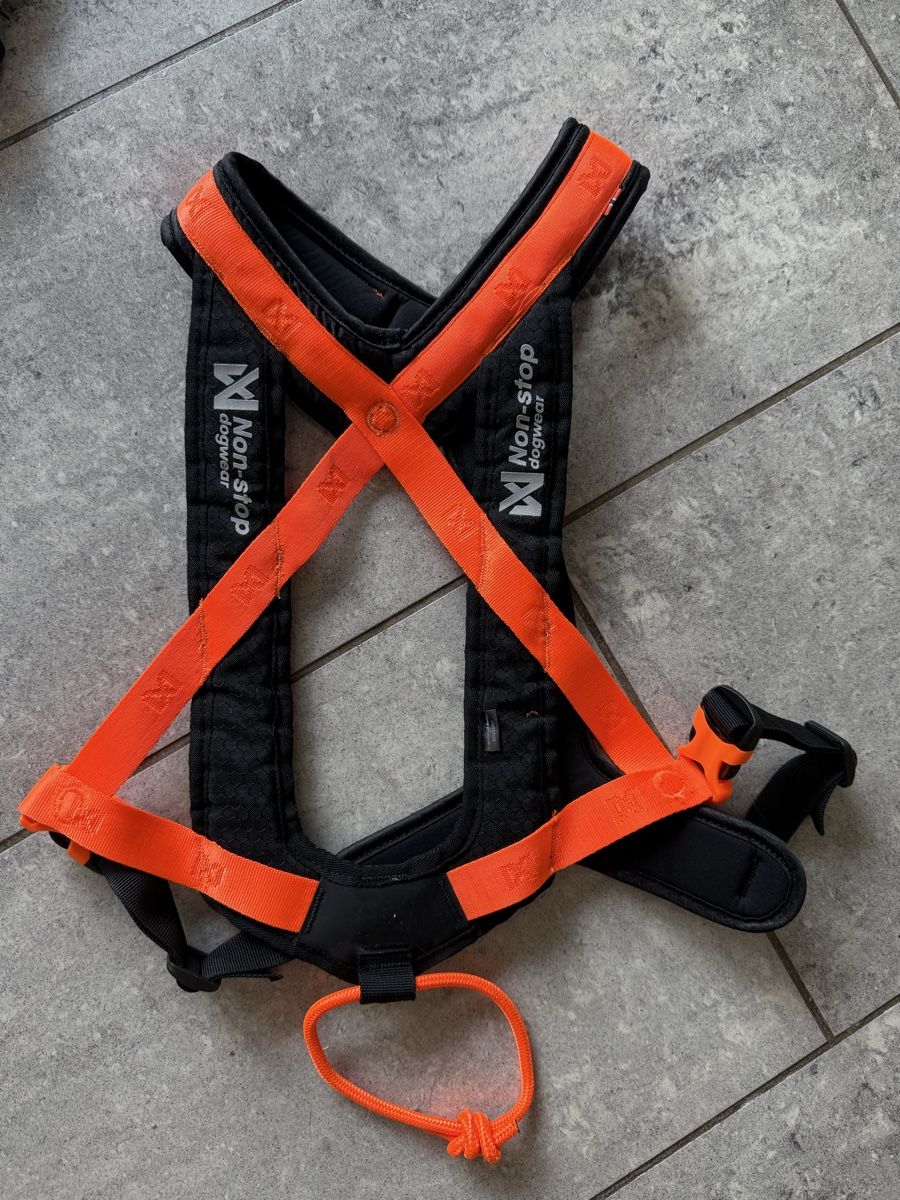 Non-Stop Dogwear Collier et laisse: Non-stop Rush Harness orange Grösse 8 neu – D'occasion à Rüti ZH par jocma